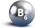B6
