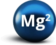 Magnez